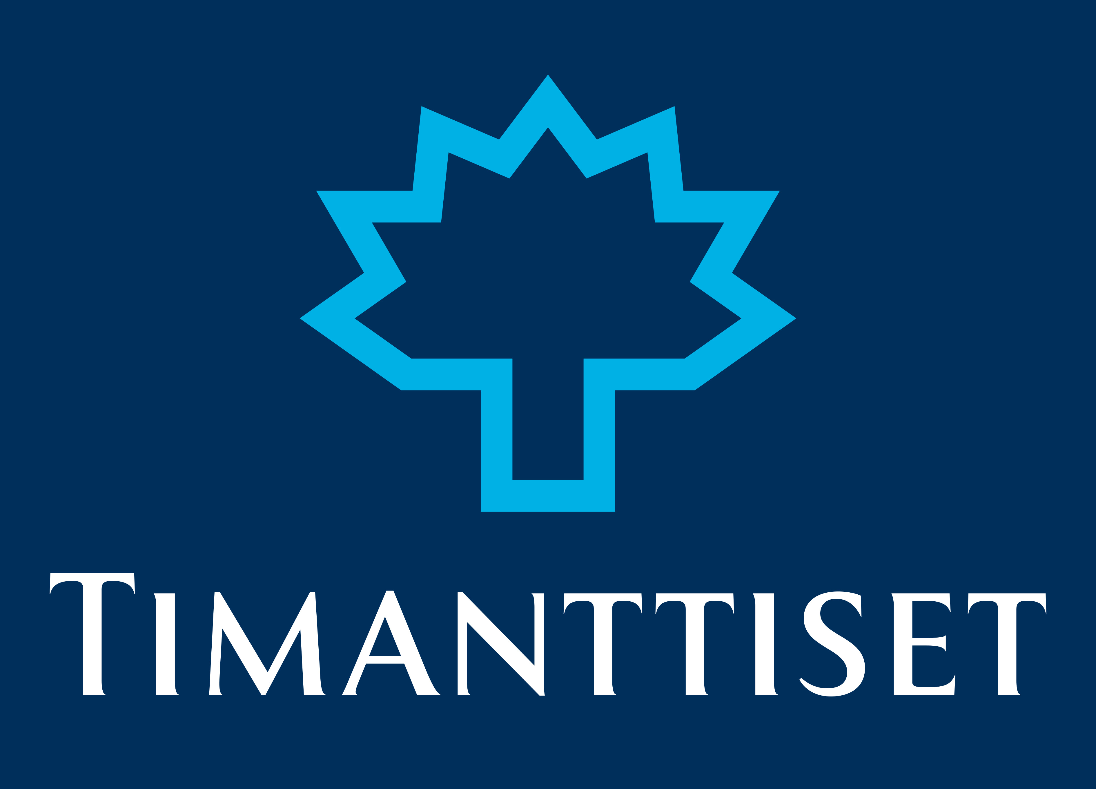 Timanttiset logo